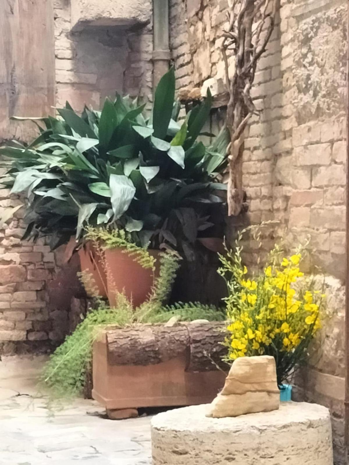 Azzi B&B Comfortably, In The Quietness Of The Perugia Historical Centre Exteriör bild